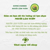 100 Túi Bọc Trái Cây Bưởi, Ổi, Xoài, Na thương hiệu Ánh Dương, dùng 3-4 mùa (có nút cài) - Người Làm Vườn