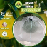 100 Túi Bọc Trái Cây Bưởi, Ổi, Xoài, Na thương hiệu Ánh Dương, dùng 3-4 mùa (có nút cài) - Người Làm Vườn