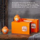 Hộp quà tặng sứ đôi hoạ tiết kèm túi xách - HVL TEA