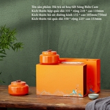 Hộp quà tặng sứ đôi hoạ tiết kèm túi xách - HVL TEA