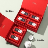 Bộ hộp trà thiếc họa tiết lá trúc kèm túi quà tặng cao cấp - HVL TEA