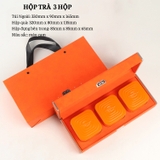 Bộ hộp trà nắp khoá hoa văn kèm túi quà tặng cao cấp - HVL TEA