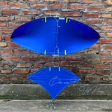 Diều 1m2 full cacbon