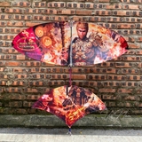 Diều 1m7 1m8 full cacbon