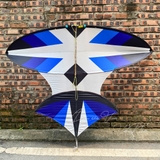 Diều 2m 2m2 full cacbon