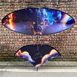 Diều 2m5 2m8 full cacbon