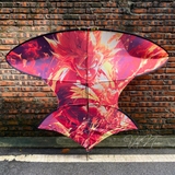 Diều 2m5 2m8 full cacbon