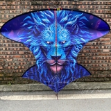 Diều 2m5 2m8 full cacbon