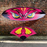 Diều 2m5 2m8 full cacbon