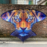 Diều 2m5 2m8 full cacbon