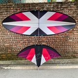 Diều 3m 3m2 full cacbon