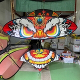 Combo diều 3m2 full cacbon