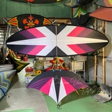 Diều 3m 3m2 full cacbon