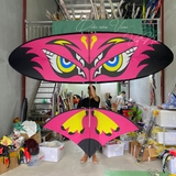 Diều 4m5 full cacbon