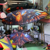 Diều 5m full cacbon