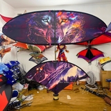 Diều 5m full cacbon