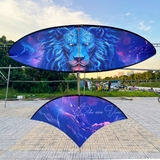 Diều 5m full cacbon