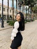 ĐẦM ĐEN CỔ TRÒN