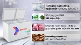 Tủ đông Sanaky 260 lít VH-3699W1