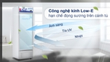Tủ mát Hoà Phát 280 lít HSR D6280