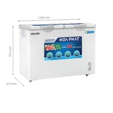 Tủ đông Hòa Phát 245 lít HCF 606S2Đ2