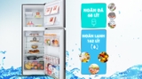 Tủ lạnh Beko Inverter 230 lít RDNT251I50VWB