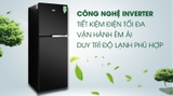 Tủ lạnh Beko Inverter 230 lít RDNT251I50VWB