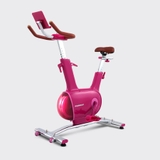XE ĐẠP TẬP KINGSPORT CREATIVE E-03 PINK