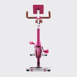 XE ĐẠP TẬP KINGSPORT CREATIVE E-03 PINK