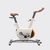 XE ĐẠP TẬP KINGSPORT CREATIVE E-03 WHITE