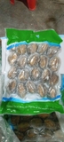 Bào Ngư Y.Fish - Túi 1Kg 18-20 con net 6
