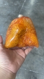 Trứng Cá Ngát - Khay 500Gr