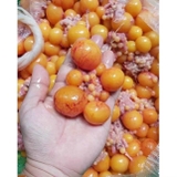 Trứng Gà Non - Hộp 500Gr