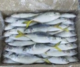 Cá Ngân Tươi Ngon Làm Sạch Cấp Đông - Túi 1Kg