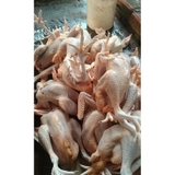 Gà Ta Thả Vườn Con Gà Có Đầu, Có Chân Không Lòng - 1Kg/Con