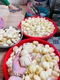 Thốt nốt rim đường thốt hủ 700g