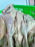 Vịt tươi con 1,1kg đên 1,5kg