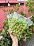 Sấu Tươi Cạo Vỏ 1kg