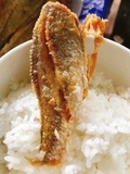 Cá Đù 1 Nắng Lạc Vừa Ăn Vĩ 500Gr/10-12 Con