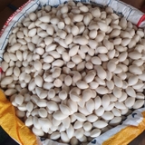 Bạch Quả Tươi Nguyên Vỏ - Túi 500Gr
