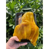 Tai Heo Ủ Muối - Khay 500Gr