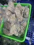 Củ cải khô ngon giòn ngọt túi 500g hút chân không
