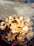 Còi biên mai 500g