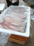 Mực ống xẻ một nắng size 4 con 1kg