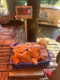 Thịt Đùi Dê có Da 1kg
