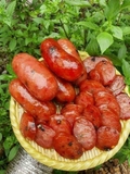 Lạp Xưởng Tươi Cai Lậy - Túi 500Gr