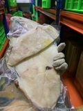 Mực Một Nắng Hút Chân Không - Túi 1Kg