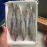 Cá Trứng Vĩ 200Gr
