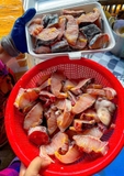 Cá tầm nguyên con làm sạch hut chân không 1kg