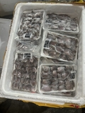 Cá sặc đồng 1 nắng khay 500g